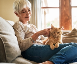 A person sitting on the couch petting a cat